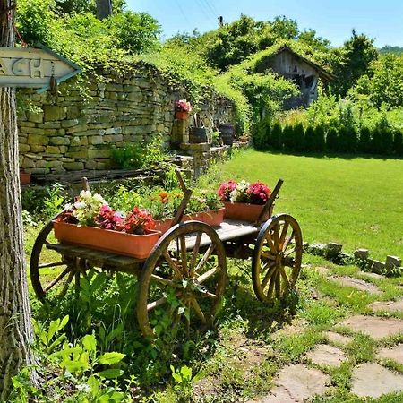 Къща Край Реката/ House By The River Vetrintsi ภายนอก รูปภาพ